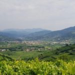 Colli di Soave